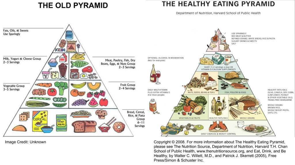 what does the food pyramid mean