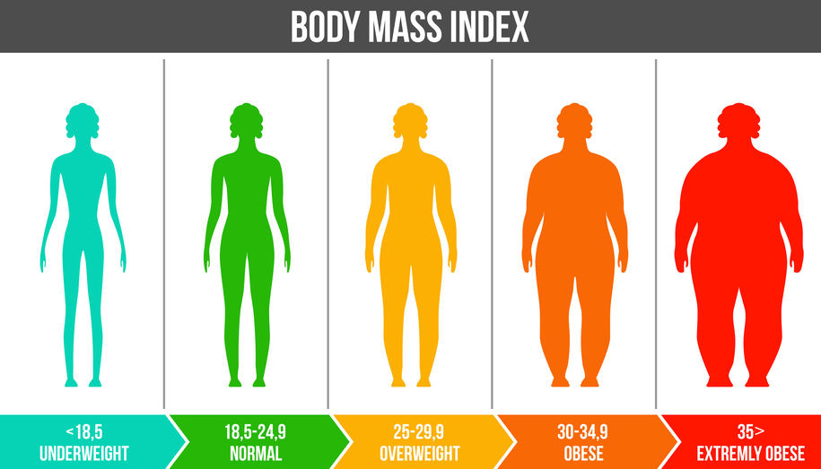 What’s the Difference Between Fat and Chubby?  Unpacking the Weight of Words